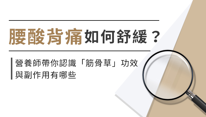 【筋骨草的功效與副作用】營養師教你這樣選筋骨草，改善酸痛才有效！