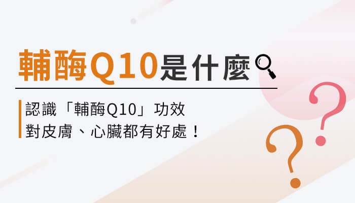 輔酶Q10